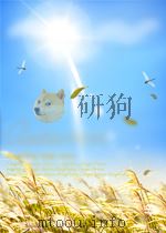 REPORT DOCUMENTATION ASGE AD-A083888 PDF电子版封面