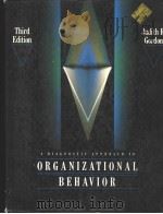 A DIAGNOSTIC APPROACH TO ORGANIZATIONAL BEHAVIOR  THIRD EDITION（ PDF版）
