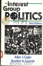 INTEREST GROUP POLITICS THIRD EDITION 1991 PDF电子版封面 0871875624