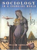 SOCIOLOGY IN A CHANGING WORLD 1988 PDF电子版封面 0030014190