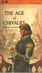 THE AGE OF CHIVALRY（ PDF版）