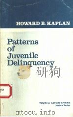 PATTERNS OF JUVENILE DELINQUENCY 1984 PDF电子版封面 0803922094