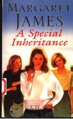 A SPECIAL INHERITANCE（1994年 PDF版）