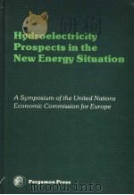 HYDROELECTRICITY PROSPECTS IN THE NEW ENERGY SITUATION PDF电子版封面 008025702X