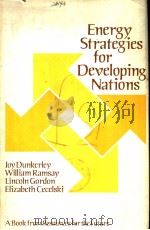 ENERGY STRATEGIES FOR DEVELOPING NATIONS PDF电子版封面 0801825962