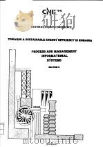 PROCESS AND MANAGEMENT INFORMATIONAL SYSTEMS VOLUME 2 PDF电子版封面