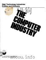 THE COMPUTER INDUSTRY（ PDF版）