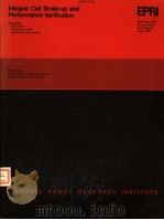 INTEGRAL CELL SCALE-UP AND PERFORMANCE VERIFICATION（ PDF版）