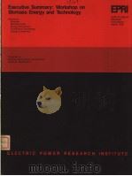EXECUTIVE SUMMARY:WORKSHOP ON BIOMASS ENERGY AND TECHNOLOGY PDF电子版封面 G.R.STEGEN
