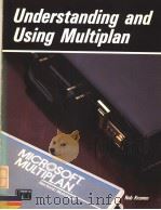UNDERSTANDING AND USING MULTIPLAN（ PDF版）