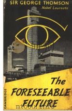 THE PORESEEABLE FUTURE PDF电子版封面