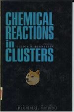 CHEMICAL REACTIONS IN CLUSTERS（1996 PDF版）
