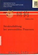 MATHEMATISCH-NATURWISSENSCHAFTLICHE BIBLIOTHEK  BAND 60  STRUKTURBILDUNG BEI IRREVERSIBLEN PROZESSEN（ PDF版）
