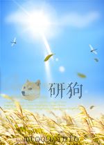 THE EASTERN NORTH ATLANTIC PDF电子版封面
