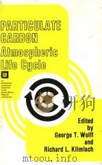 PARTICULATE CARBON ATMOSPHERIC LIFE CYCLE PDF电子版封面 0306409186