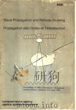 WAVE PROPAGATION AND REMOTE SENSING PROPAGATION DES ONDES ET TELEDETECTION PDF电子版封面