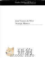 JOINT VENTURES & OTHER STRATEGIC ALLIANCES PDF电子版封面