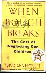 WHEN THE BOUGH BREAKS THE COST OF NEGLECTING OUR CHILDREN 1991 PDF电子版封面 0060974796