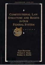 CONSTITUTIONAL LAW:STRUCTURE AND RIGHTS IN OUR FEDERAL SYSTEM THIRD EDITION 1996 PDF电子版封面 0820527025 DAAN BRAVEMAN WILLIAM C.BANKS