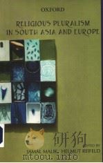 RELIGIOUS PLURALISM IN SOUTH ASIA AND EUROPE PDF电子版封面 0195669754 JAMAL MALIK AND HELMUT REIFELD