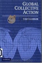 GLOBAL COLLECTIVE ACTION PDF电子版封面 0521542545 TODD SANDLER