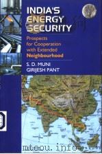 INDIA'S SEARCH FOR ENERGY SECURITY PDF电子版封面 8129106442 S.D.MUNI AND GIRIJESH PANT