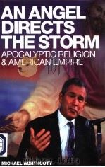 AN ANGEL DIRECTS THE STORM APOCALYPTIC RELIGION AND AMERICAN EMPIRE PDF电子版封面 1850434786