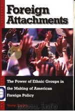 FOREIGN ATTACHMENTS THE POWER OF ETHNIC GROUPS IN THE MARKING OF AMERICAN FOREIGN POLICY PDF电子版封面 0674015878 TONY SMITH