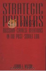 STRATEGIC PARTNERS PDF电子版封面 0765609398 JEANNE L.WILSON