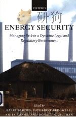 ENERGY SECURITY     PDF电子版封面  0199271615  BARRY BARTON AND DONALD N.ZILL 