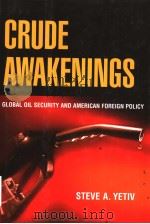 CRUDE AWAKENINGS GLOBAL OIL SECURITY AND AMERICAN FOREING POLICY PDF电子版封面 0801442680 STEVE A.YETIV