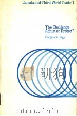THE CHALLENGE:ADJUST OR PROTECT? PDF电子版封面 0920494218 MARGARET A.BIGGS