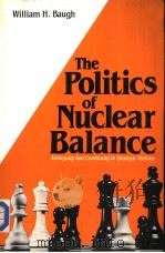 THE POLITICS OF NUCLEAR BALANCE AMBIGUITY AND CONTINUITY IN STRATEGIC POLICIES PDF电子版封面 0582284236 WILLIAM H.BAUGH
