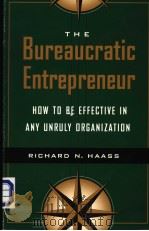 THE BUREAUCRATIC ENTREPRENEUR PDF电子版封面 0815733534 RICHARD N.HAASS