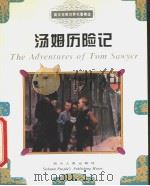 汤姆历险记（1994 PDF版）