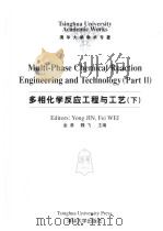 多相化学反应工程与工艺  下（ PDF版）