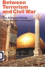 BETWEEN TERRORISM AND CIVIL WAR     PDF电子版封面     