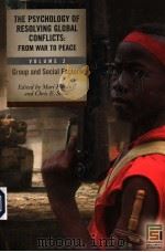 THE PSYCHOLOGY OF RESOLVING GLOBAL CONFLICTS FROM WAR TO PEACE VOLUME 2:GROUP AND SOCIAL FACTORS PDF电子版封面 MARI FITZDUFF AND CHRIS E.STOU