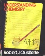 UNDERSTANDING CHEMISTRY PDF电子版封面