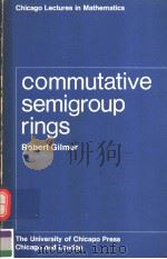 COMMUTATIVE SEMIGROUP RINGS（ PDF版）