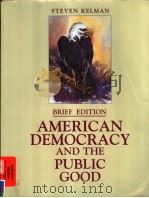 AMERICAN DEMOCRACY AND THE PUBLIC GOOD BRIEF EDITION PDF电子版封面 0155035061