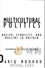 MULTICULTURAL POLITICS PDF电子版封面 0816644888 TARIQ MODOOD