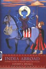INDIA ABROAD DIASPORIC CULTURES OF POSTWAR AMERICA AND ENGLAND PDF电子版封面 0691092672 SANDHYA SHUKLA
