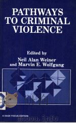 PATHWAYS TO CRIMINAL VIOLENCE PDF电子版封面 0803933436 NEIL ALAN WEINER MARVIN E. WOL