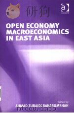 OPEN ECONOMY MACROECONOMICS IN EAST ASIA PDF电子版封面 0754644006