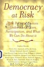 DEMOCRACY AT RISK HOW POLITICAL CHOICES UNDERMINE CITIZEN PARTICIPATION AND WHAT WE CAN DO ATOUB IT PDF电子版封面 0815754043