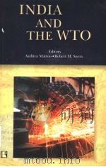 INDIA AND THE TWO     PDF电子版封面  8170339146  AADITYA MATTO AND ROBERT M. ST 