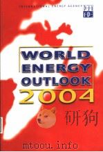 WORLD ENERGY OUTLOOK 2004 PDF电子版封面 9264108173