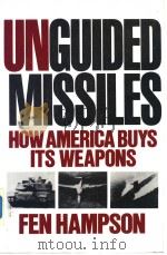 UNGUIDED MISSILES HOW AMERICA BUYS ITS WEAPONS PDF电子版封面 0393306410