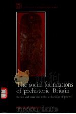 THE SOCIAL FOUNDATIONS OF PREHISTORIC BRITAIN PDF电子版封面 0582491649